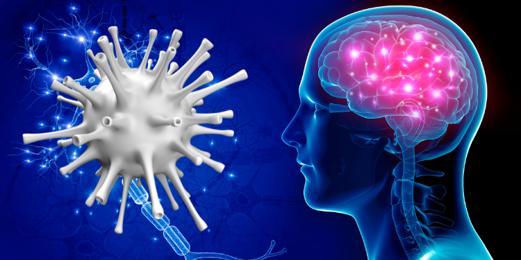 İngiltere’deki araştırmalara göre “koronavirüsün beyinde küçülmeye yol açabilir”