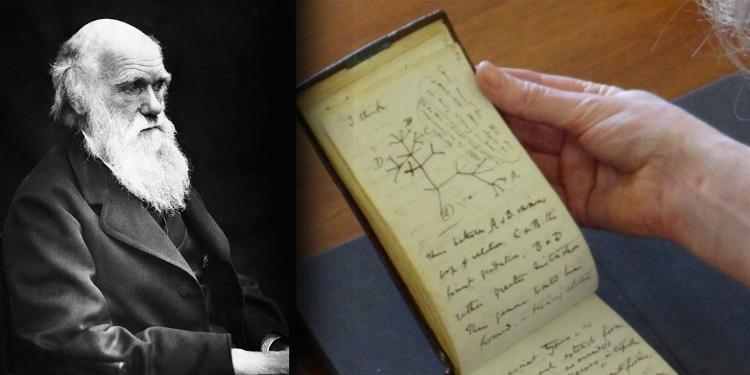Darwin’in “çalınan” iki not defteri, 22 yıl sonra kütüphaneye geri bırakıldı