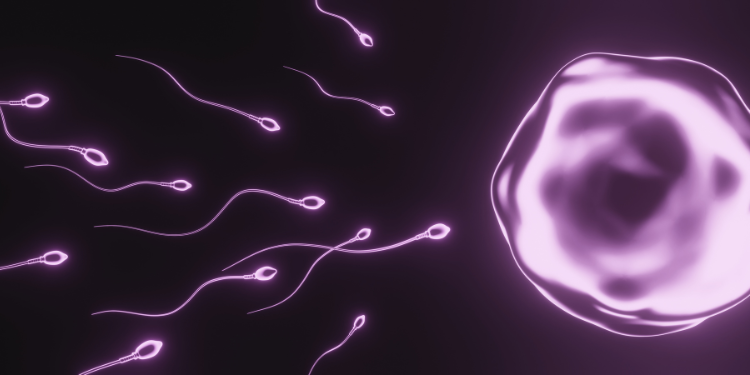 İngiltere’de yurtdışından sperm ithal etmeye başladı