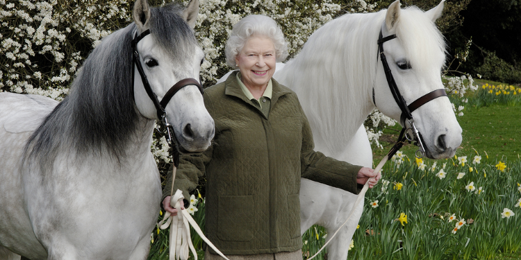 İngiltere Kralı 3. Charles, annesi Kraliçe 2. Elizabeth’in 14 atını satışa çıkardı